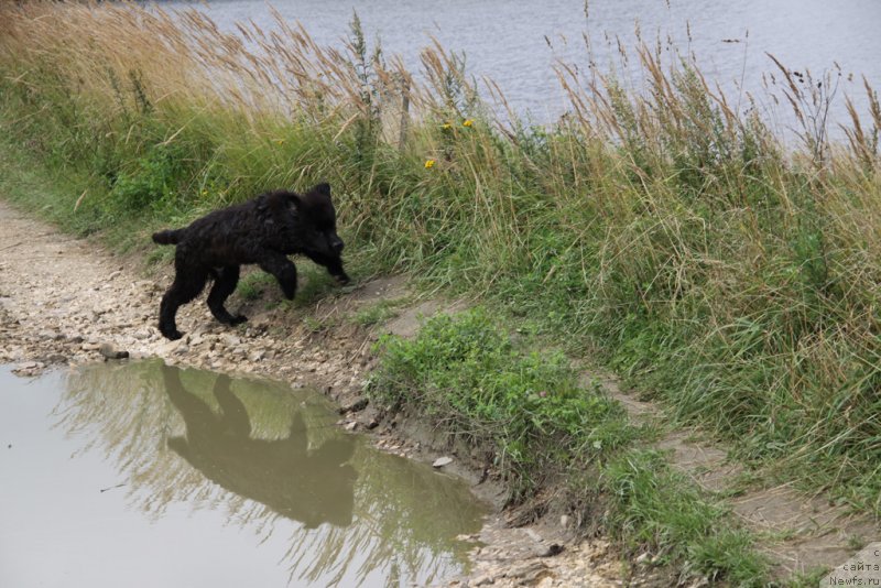 Фотография № 132251