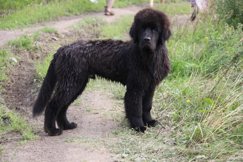 Фотография № 132252