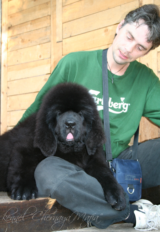 Фотография № 132254