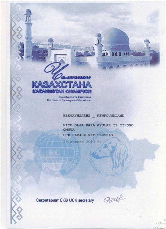 Фото: ньюфаундленд Ница для Кара Аюлар из Тихого Омута (Nica Dlja Kara Ayular iz Tihogo Omuta)