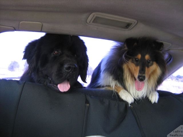 Фотография № 132292