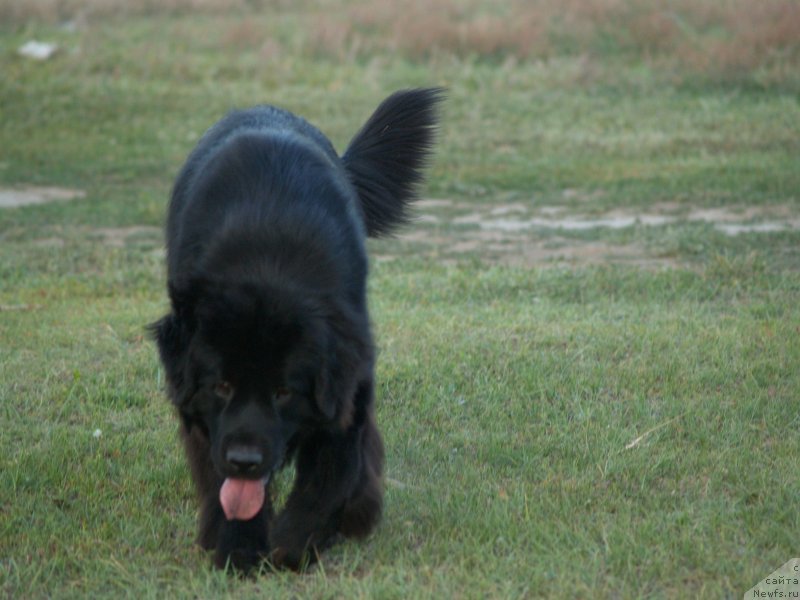 Фотография № 132304