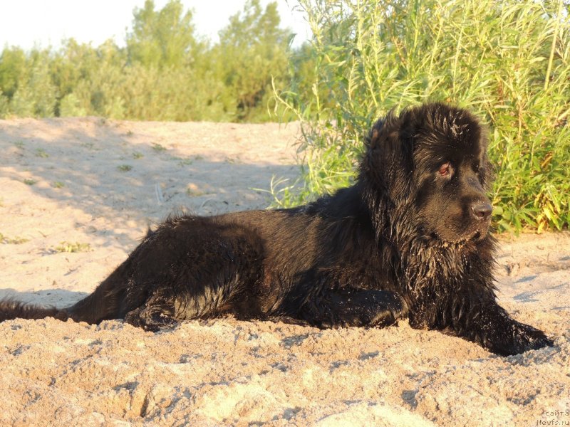 Фотография № 132311