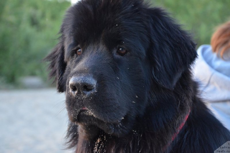 Фотография № 132315