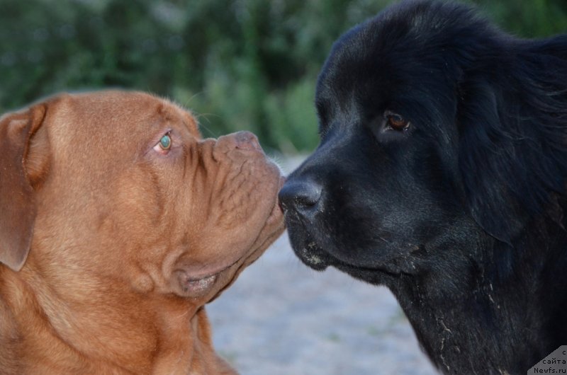 Фотография № 132316