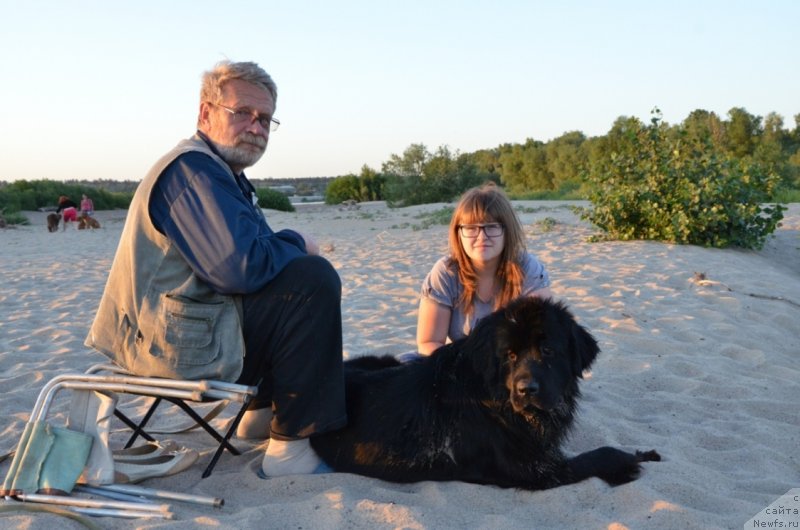 Фото: ньюфаундленд Би Перфект Арабелла