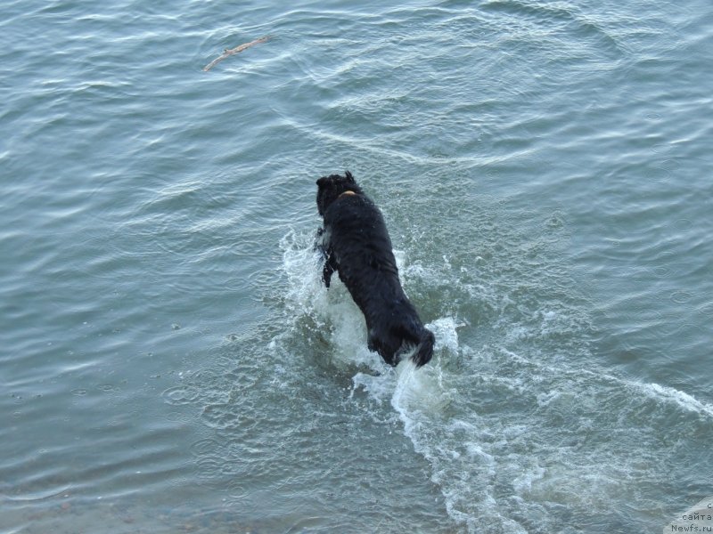 Фотография № 132327