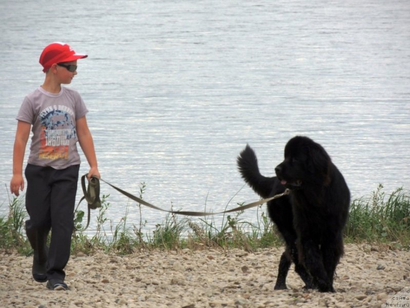 Фотография № 132335