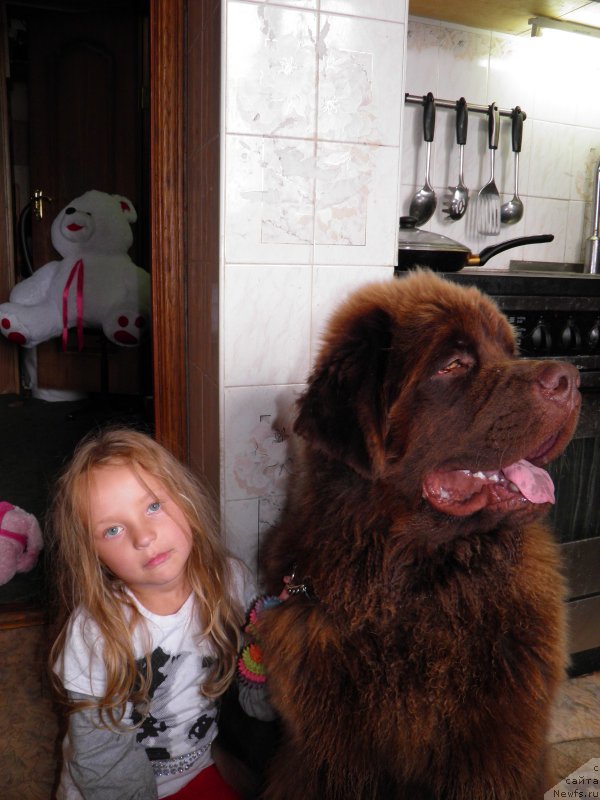 Фотография № 132349