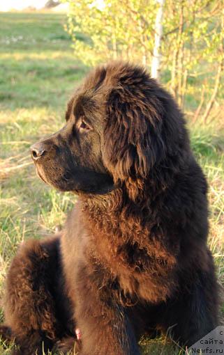 Фотография № 13235