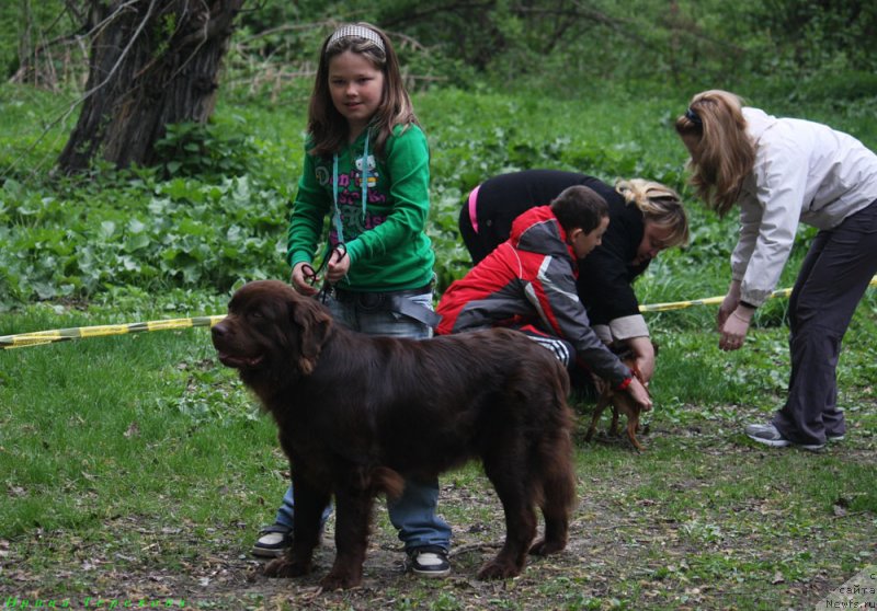 Фотография № 132350