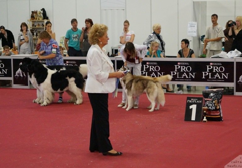 Фотография № 132352