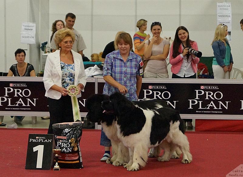 Фотография № 132354