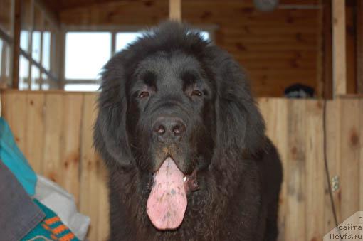 Фотография № 13236