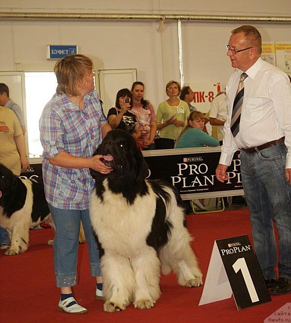 Фотография № 132360