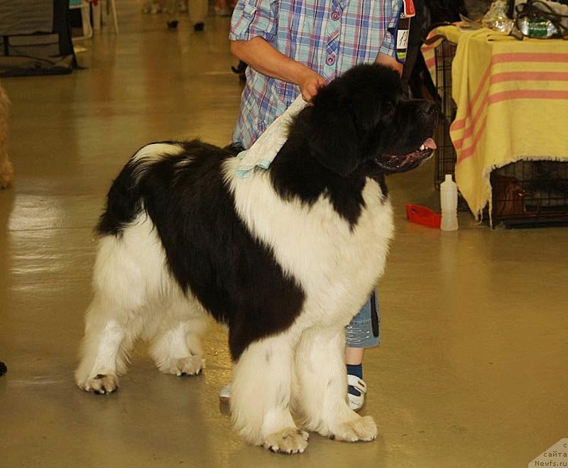 Фотография № 132363