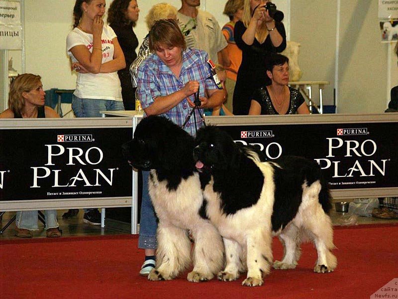 Фотография № 132364