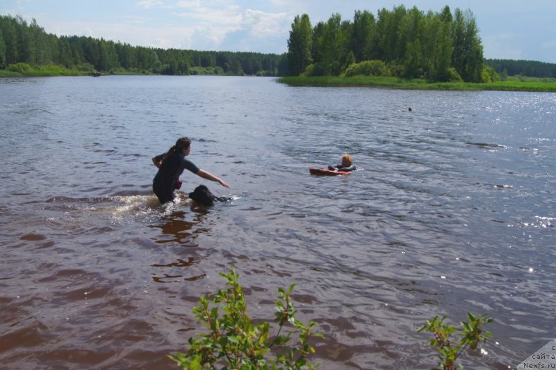 Фотография № 132375