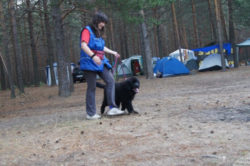 Фотография № 132377