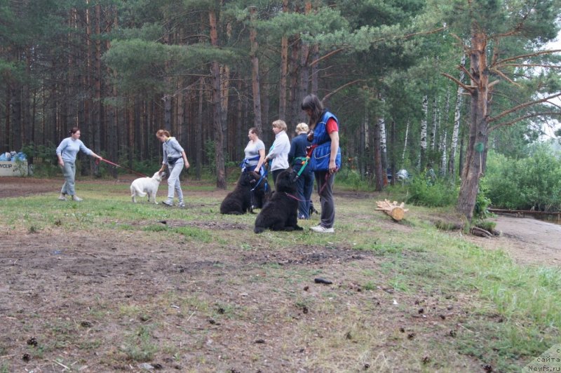 Фотография № 132378