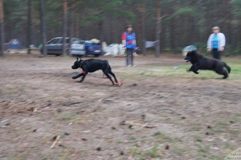 Фотография № 132382