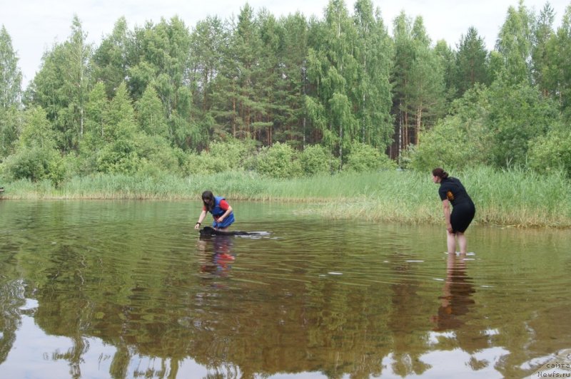 Фотография № 132383