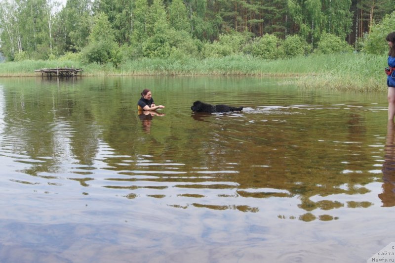 Фотография № 132386