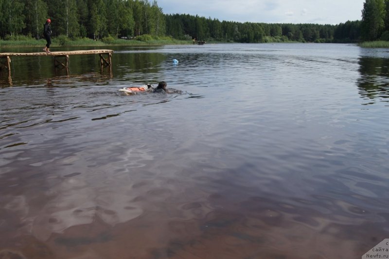 Фотография № 132389