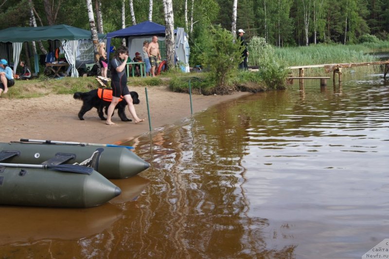 Фотография № 132390