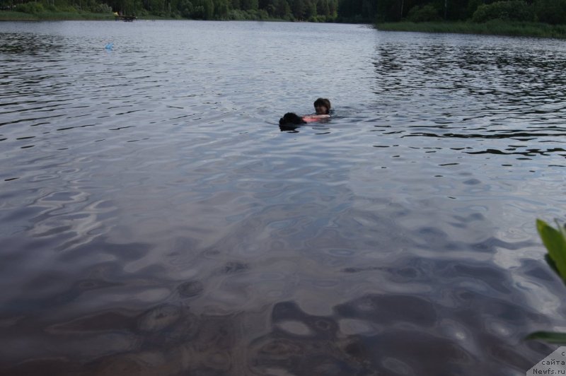 Фотография № 132392