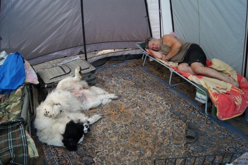 Фотография № 132396