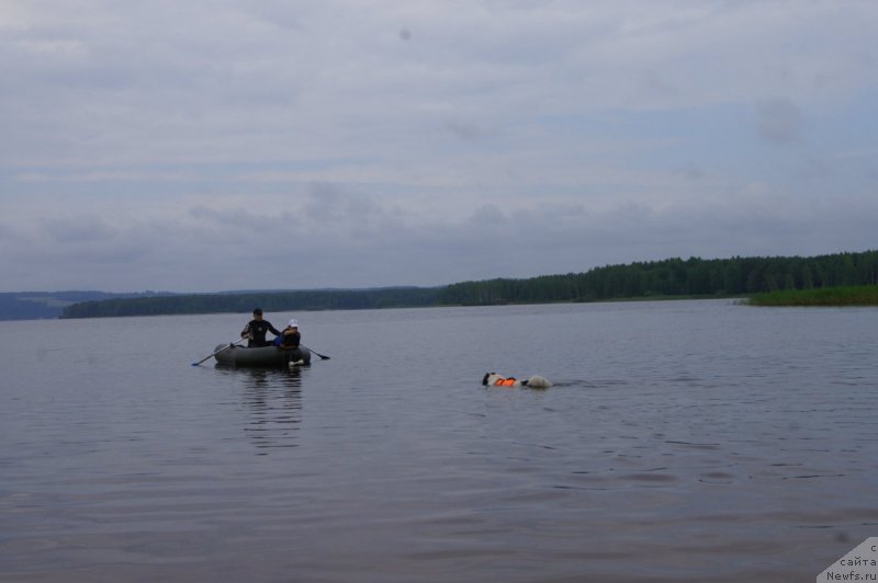 Фотография № 132399