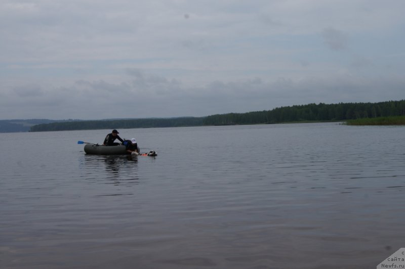 Фотография № 132400