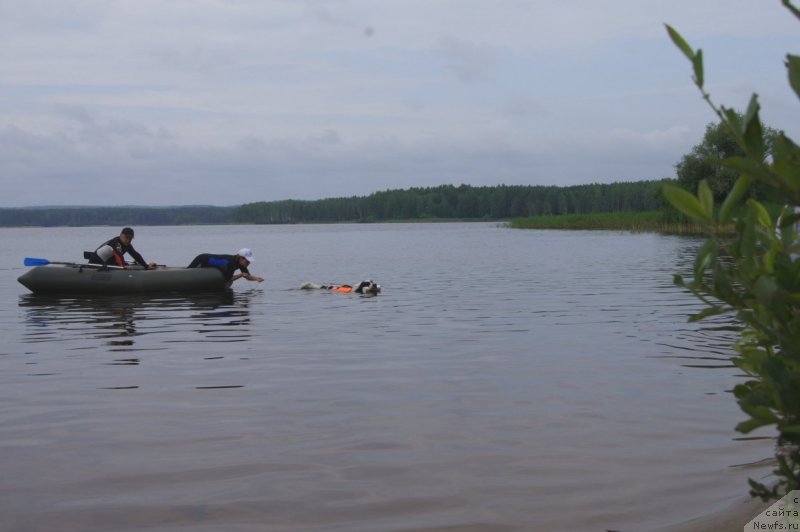 Фотография № 132401