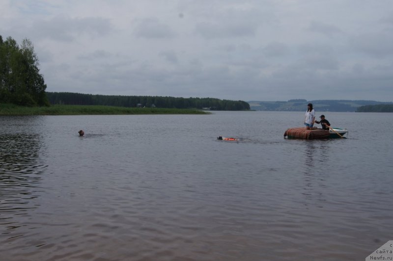 Фотография № 132404