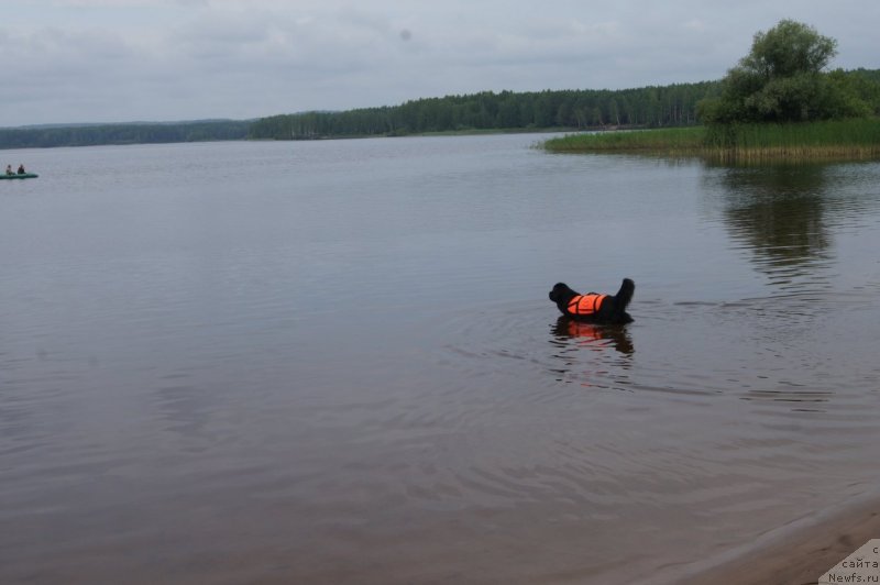 Фотография № 132406