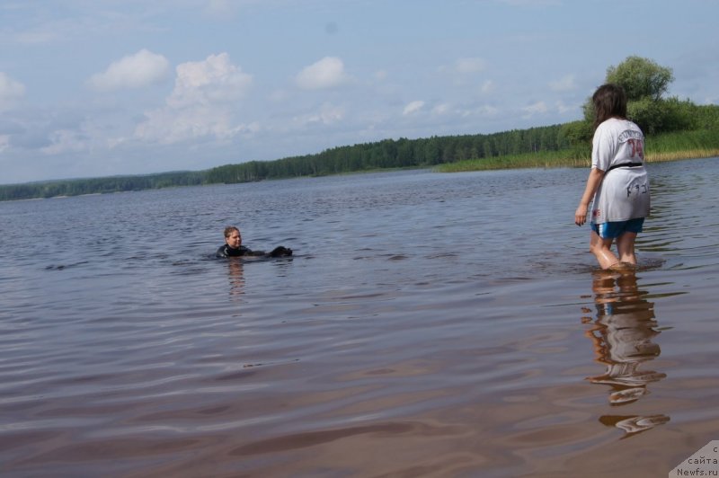 Фотография № 132409