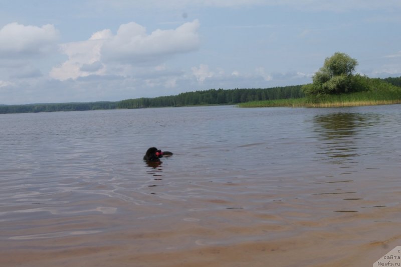 Фотография № 132410