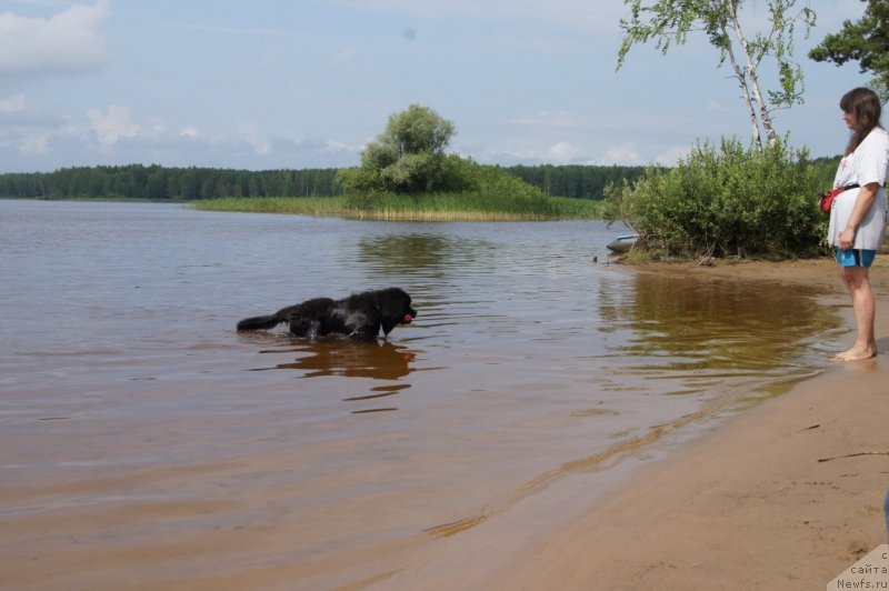 Фотография № 132411