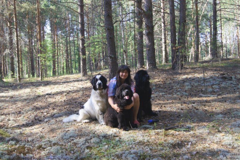 Фотография № 132413