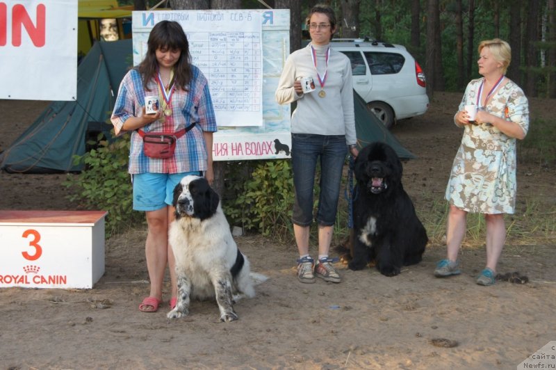 Фотография № 132418