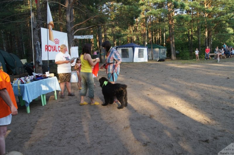 Фотография № 132419