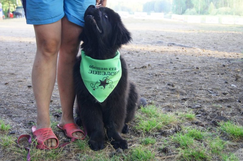 Фотография № 132420