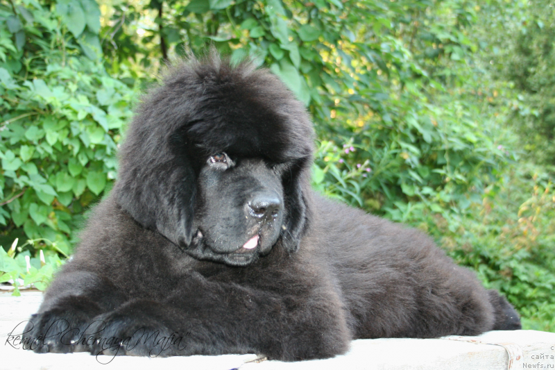 Фотография № 132458