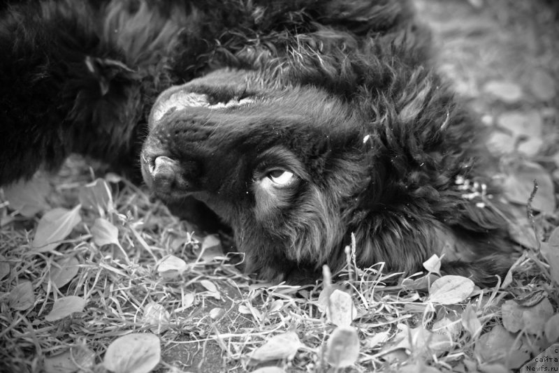 Фото: Екатерина Заславская