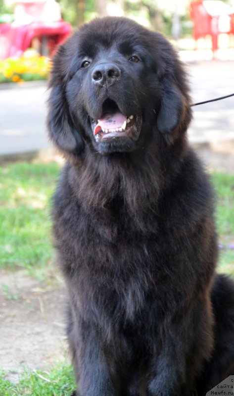 Фотография № 132561