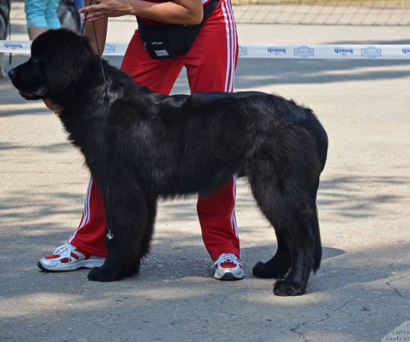 Фотография № 132564