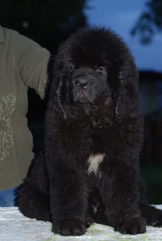 Фотография № 132612