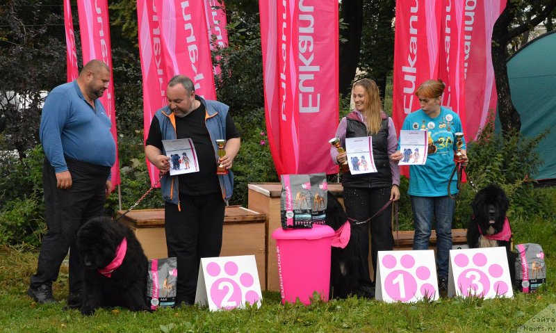 Фото: Юрий Малев, Юрий Комов, ньюфаундленд Смигар Талара, Ксения Дудина, ньюфаундленд Смигар Жезелла де ля Розе, Екатерина Кормакова, ньюфаундленд Bartez Beliy