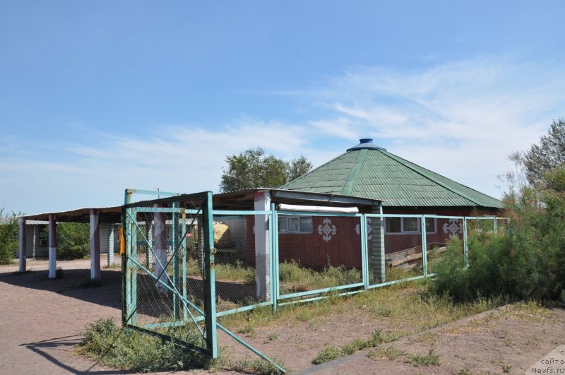 Фотография № 132622